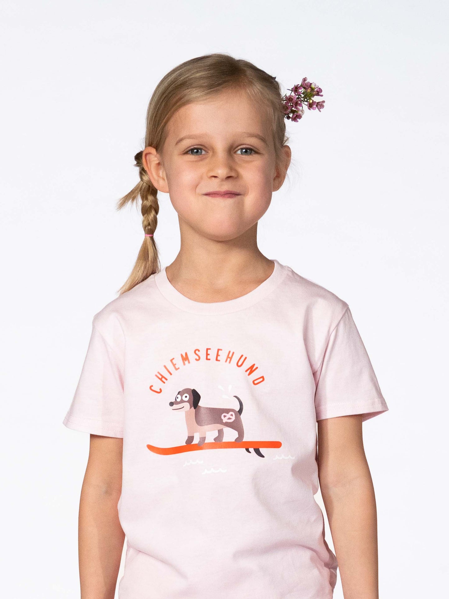 Chiemseehund